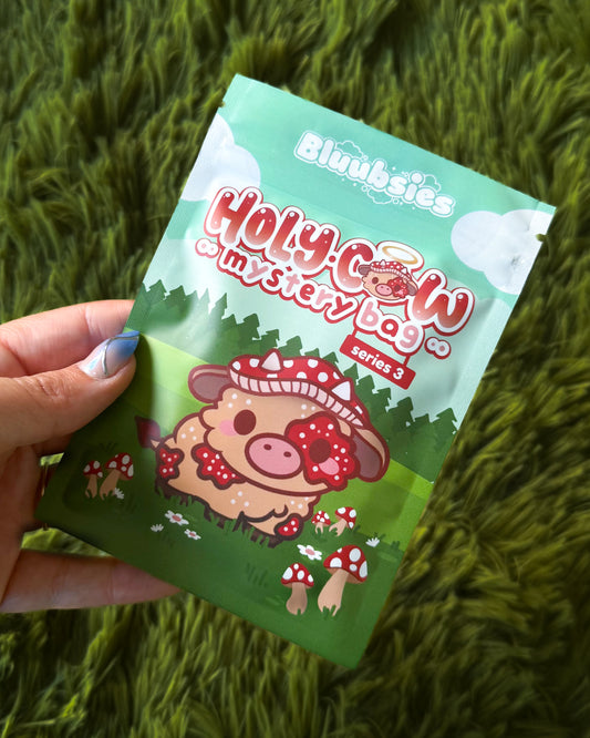 Mystery Bag 🎁 Holy Cow Series 3
